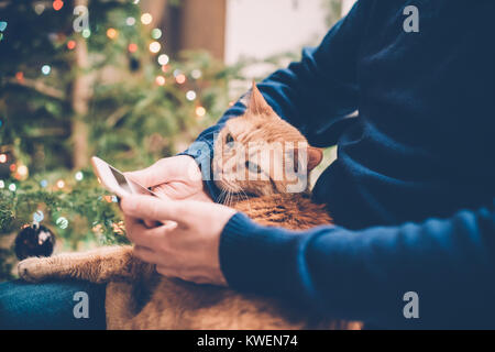 Giovane uomo in un momento di relax a casa con lo zenzero cat e lo smartphone in mano, accogliente vacanza hygge calda sera Foto Stock
