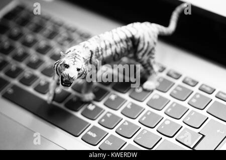 Toy tiger sulla tastiera portatile - animali selvatici e di agricoltura nell'era digitale Foto Stock