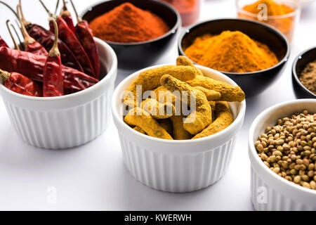 Indian spezie colorate. Foto di gruppo dei quattro principali spezie indiane come raw peperoncino rosso, curcuma, coriandolo e cumino in polvere. Il fuoco selettivo Foto Stock