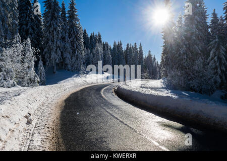 Montagna innevata la strada attraverso la foresta di abete ripulito per il traffico in una luminosa giornata invernale Foto Stock