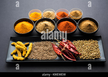 Indian spezie colorate. Foto di gruppo dei quattro principali spezie indiane come raw peperoncino rosso, curcuma, coriandolo e cumino in polvere. Il fuoco selettivo Foto Stock