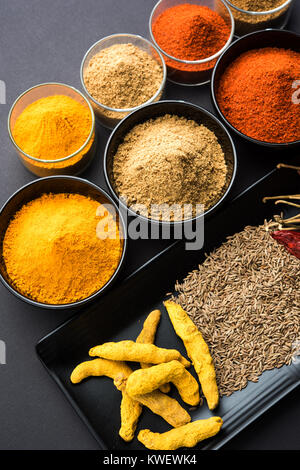 Indian spezie colorate. Foto di gruppo dei quattro principali spezie indiane come raw peperoncino rosso, curcuma, coriandolo e cumino in polvere. Il fuoco selettivo Foto Stock