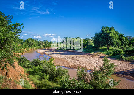 Fiume vista panoramica nel parco nazionale di Kruger, Sud Africa Foto Stock