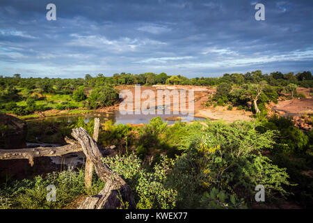 Fiume vista panoramica nel parco nazionale di Kruger, Sud Africa Foto Stock