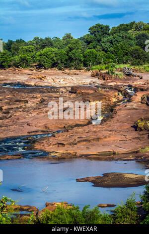 Fiume vista panoramica nel parco nazionale di Kruger, Sud Africa Foto Stock