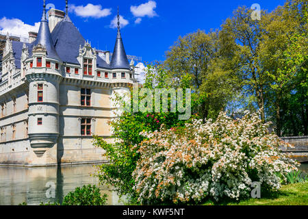 Impressionante Chateau Azay-le-Rideau castle,della Valle della Loira, Francia. Foto Stock