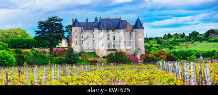 Imponente castel vecchio di Francia,vista panoramica. Foto Stock