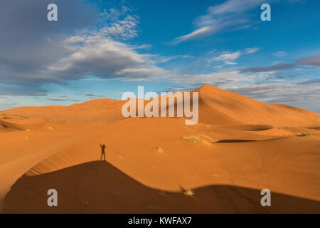 Dune di sabbia formazioni nel Sahara vicino a Zagora, Marocco orientale. Foto Stock