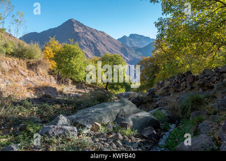 Valle Imlil Walnut Grove, inizio del trekking di montagna Foto Stock