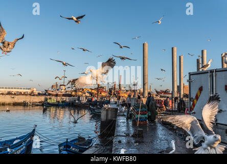 Commerciale del settore della pesca in azione intorno al porto. Foto Stock