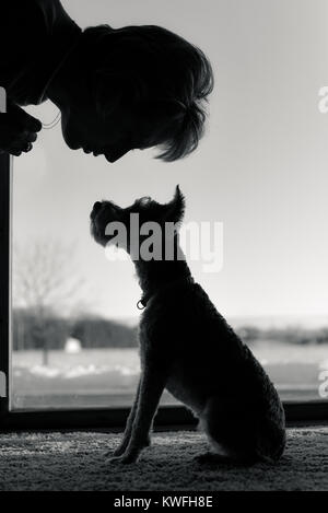 Silhouette di donna sporgendoti parlando delicatamente per baby e mini CUCCIOLO SCHNAUZER. Cane pazientemente seduto in attesa di ulteriori istruzioni. Bianco e nero v Foto Stock