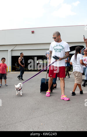 ORLANDO, FL - 01 ottobre: Tre-divisione e quattro volte campione del mondo di Miguel Cotto da Caguas, Porto Rico, arriva al Don Miguel Boxing palestra di Orlando che indossa un paio di calzini rosa lungo con il suo rosa crocs come egli ha fatto un grande aspetto con uno dei suoi Bouledogue Francesi e moglie di Melissa per mettere il tocco finale al suo campo di allenamento per il suo prossimo scontro sabato 5 ottobre contro top contender Delvin Rodriguez al Amway Center Arena. Miguel Ángel cotto (nato il 29 ottobre 1980) è un portoricano boxer professionale. Il cotto è un ex WBA (Super) Luce Middleweight Champion. Egli è Foto Stock