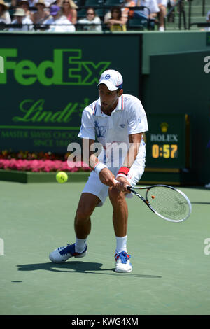 KEY BISCAYNE, FL - 01 aprile: Novak Djokovic di Serbia sconfigge Andy Murray di Gran Bretagna in uomini singoli finale del giorno 14 del Sony Ericsson Open a Crandon Park Tennis Center su Aprile 1, 2012 in Key Biscayne, Florida. Persone: Novak Djokovic Foto Stock