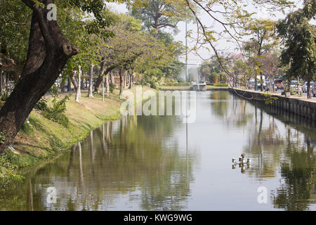 CHIANG MAI, Thailandia - gennaio 29 2014: Chiang Mai fossato. Posizione intorno della città vecchia di Chiang Mai. Foto Stock