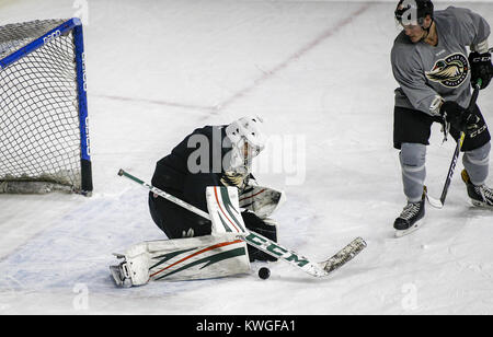 Moline, Iowa, USA. 24 gen 2017. Germani reali goaltender C.J. Motte (30) blocchi un colpo da avanti Nolan LaPorte (20) durante una pratica presso il centro di iWireless di Moline Martedì, 24 gennaio 2017. La pratica è stata la prima con ex assistant coach Phil Axtell agendo come interim head coach dopo la Germani reali sollevati ex allenatore Terry Ruskowski. Credito: Andy Abeyta/Quad-City volte/ZUMA filo/Alamy Live News Foto Stock