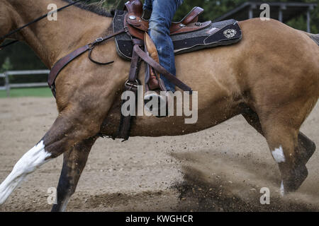 Illinois City, Iowa, USA. 3° Ott, 2017. Rockridge studente di scuola superiore Nick Berenger, 16, fa una esecuzione pratica con gli scooter, i suoi 14-anno-vecchio show cavallo, a forte tuono Forest Preserve in Illinois City il Martedì, 3 ottobre 2017. Il Hayburners 4-H Club ospiterà la terza marcia annuale per fame Horse Show beneficiando l'ansa del fiume Foodbank Sabato seguita dall'Illinois City Club Sella che ospiterà il Wade Maynard Memorial Show la Domenica. Credito: Andy Abeyta, Quad-City volte/Quad-City volte/ZUMA filo/Alamy Live News Foto Stock