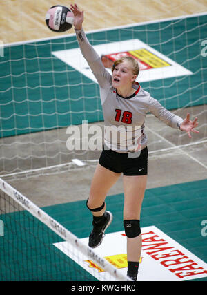 Cedar Rapids, Iowa, USA. Decimo Nov, 2016. Cedar Falls' Cynthia Wolf (18) salta agli attacchi durante il Cedar Falls vs Ankeny classe 5una semifinale-round membro pallavolo azione giocata Giovedì, nov. 10, 2016 all'US Cellular Center in Cedar Rapids, Iowa. Credito: Andy Abeyta/Quad-City volte/Quad-City volte/ZUMA filo/Alamy Live News Foto Stock