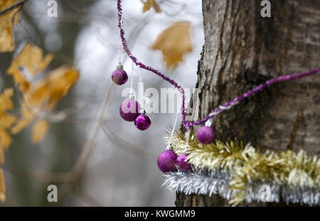 Davenport, Iowa, USA. 25 Dic, 2016. Le decorazioni sono visto su un memoriale di albero per Amy Kristin Porter, un Bettendorf Scuola di alta classe di 1984 laureato nei pressi del Middle Park Laguna in Bettendorf domenica 25 dicembre, 2016. Credito: Andy Abeyta/Quad-City volte/ZUMA filo/Alamy Live News Foto Stock