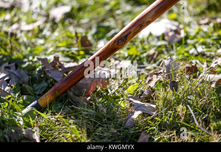 Bettendorf, Iowa, USA. 22 ottobre, 2016. Un legno lucido bastone è visto prima gli escursionisti impostato su off in blue grass sabato 22 ottobre, 2016. Il Falco nero Escursionismo Club aumentato tra sei miglia di percorsi su 250 acri di terreno di proprietà privata vicino a Blue Grass. Il club si sta avvicinando la 97th anno e 2,550th escursione come un club. Credito: Andy Abeyta/Quad-City volte/ZUMA filo/Alamy Live News Foto Stock