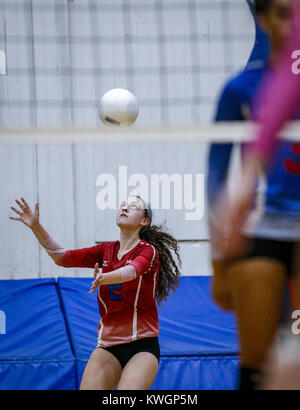 Davenport, Iowa, USA. 6 Sep, 2016. La centrale di Maddie Gowey (2) serve la sfera durante il secondo gioco di loro corrispondono a George Marshall palestra presso la centrale di alta scuola in Davenport martedì 6 settembre, 2016. Pleasant Valley sconfitto Davenport Central 3-1 Credito: Andy Abeyta/Quad-City volte/ZUMA filo/Alamy Live News Foto Stock