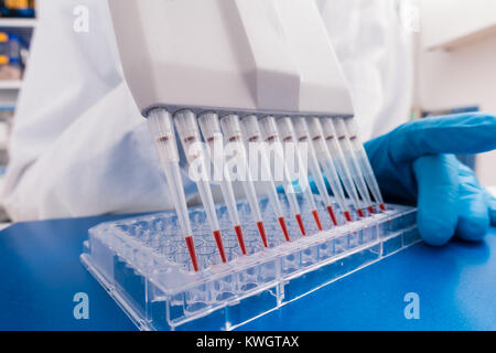 Tecnico donna lavora con nel laboratorio di genetica con materiali biologici Foto Stock