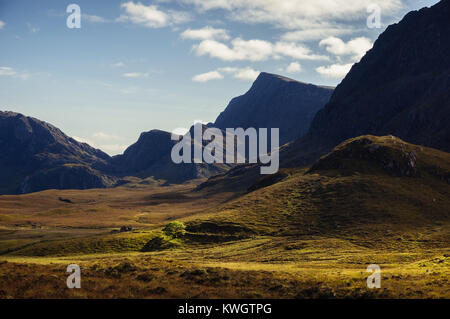 Un Lone Tree e i resti di un edificio in rovina in profondità nel deserto vicino a Beinn Lair, Wester Ross, Scozia. La zona conosciuta come il grande deserto Foto Stock