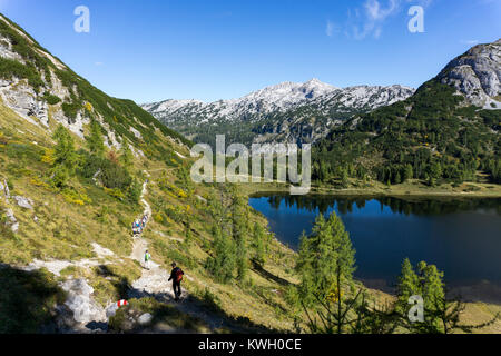 Il Tauplitzalm, pascoli di montagna, altopiano in Stiria, vicino a Bad Mitterndorf, Austria, parte dei morti montagne, escursione lungo il Six-Lakes hikin Foto Stock