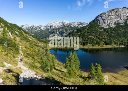 Il Tauplitzalm, pascoli di montagna, altopiano in Stiria, vicino a Bad Mitterndorf, Austria, parte dei morti montagne, escursione lungo il Six-Lakes hikin Foto Stock