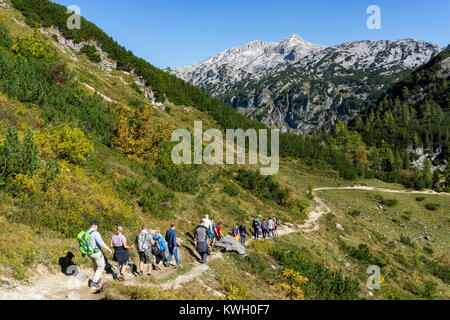 Il Tauplitzalm, pascoli di montagna, altopiano in Stiria, vicino a Bad Mitterndorf, Austria, parte dei morti montagne, escursione lungo il Six-Lakes hikin Foto Stock