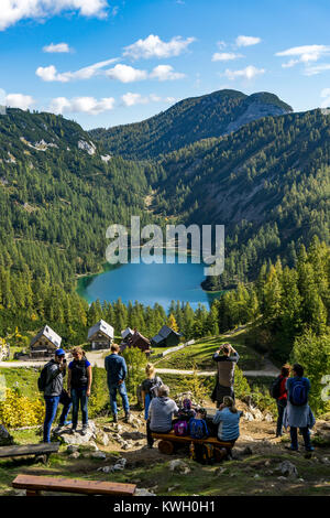 Il Tauplitzalm, pascoli di montagna, altopiano in Stiria, vicino a Bad Mitterndorf, Austria, parte dei morti montagne, escursione lungo il Six-Lakes hikin Foto Stock