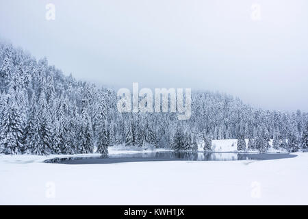 Tenine lago con una foresta di abeti ricoperti di neve su un moody e nebbioso giorno di inverno, Vosges, Francia. Foto Stock