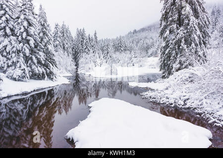 Paesaggio invernale: Snowy abeti e un piccolo fiume su moody un nebbioso giorno nelle montagne Vosges, Francia. Foto Stock
