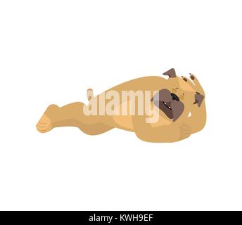 Cane dorme. Il Pet addormentato emozioni. bulldog dormienti. Illustrazione Vettoriale Illustrazione Vettoriale