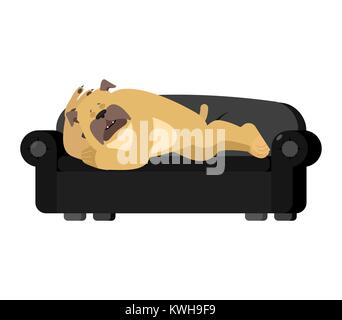 Cane che dorme sul divano. Il Pet addormentato. bulldog dormienti. Illustrazione Vettoriale Illustrazione Vettoriale