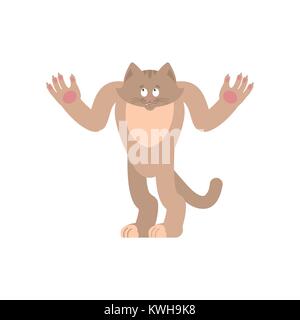 Cat confuso oops. Il Pet perplesso emozioni. kitty sorpresa. Illustrazione Vettoriale Illustrazione Vettoriale