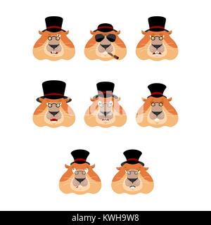 Festa della mamma. Marmotta in Hat impostare gli Emoji avatar. triste e volto arrabbiato. colpevole e dormire. Pelo di marmotta nordamericana emozione faccia. marmotta di melanzane. Vettore i Illustrazione Vettoriale