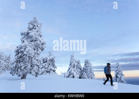 Donna in costume attivo escursionismo in discesa in neve profonda su una montagna tra i pini coperti di neve, Krvavec, Slovenia. Foto Stock