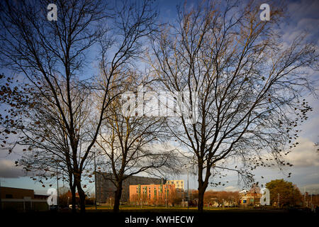 Salford University campus student accommodation in Peel Park sito che mostra i grandi spazi verdi Foto Stock