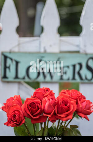 Rose e white Picket Fence con fiori freschi firmare nel giardino sul retro Foto Stock