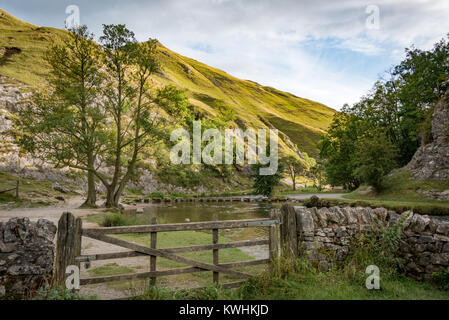 Le pietre miliari a Dovedale Riserva Naturale Nazionale nel distretto di Peak, Derbyshire Foto Stock