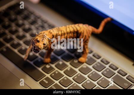 Toy tiger sulla tastiera portatile - animali selvatici e di agricoltura nell'era digitale Foto Stock