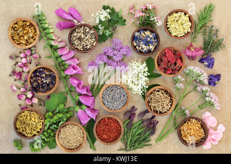 Erbe e fiori selezione medicinali utilizzati in alternativa la medicina di erbe su terreni accidentati carta marrone dello sfondo. Vista dall'alto. Foto Stock