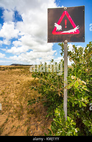 Estuario Boardwalk in San Lucia Sud Africa Foto Stock