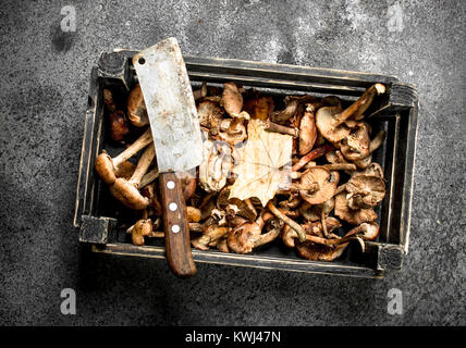 I funghi in una vecchia scatola. Su uno sfondo rustico. Foto Stock