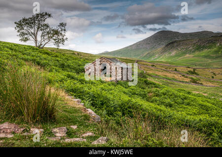 Eskdale nella zona occidentale del Parco nazionale del Lake District Cumbria Regno Unito Foto Stock