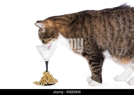 Cat bevande latte con un vetro di festosa, isolato su bianco Foto Stock