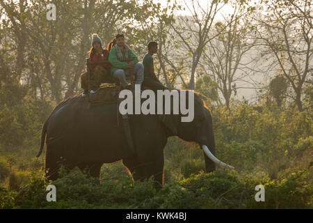 I turisti su elephant safari della giungla in Chitwan il parco nazionale, il Nepal Foto Stock