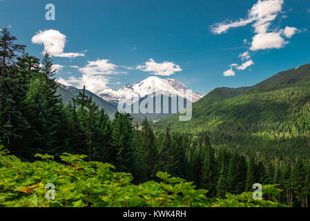 Parco nazionale del monte Rainier, nello stato di Washington, in una giornata soleggiata con cielo blu e natura verde. Foto Stock