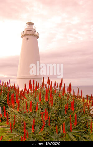 Kangaroo Island, South Australia - Giugno 25, 2009: storico Cape Willoughby Faro di Cape Willoughby Conservation Park. Aperto nel 1852 e il mar morto Foto Stock