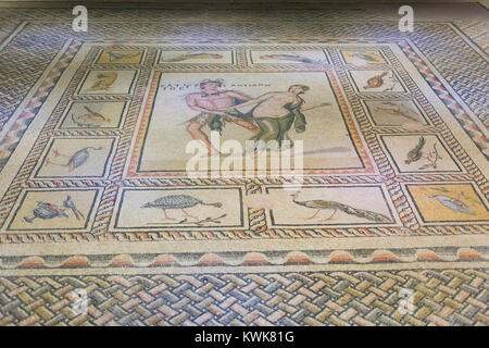 GAZIANTEP, TURCHIA - Dicembre, 15 2017: Zeugma mosaico museo,uno dei la più grande collezione di mosaico nel mondo. Foto Stock